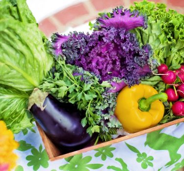 Comida saludable para niños: cómo agregar verduras en todos sus platos