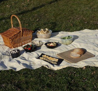 ¿Cómo armar un rico picnic al aire libre?